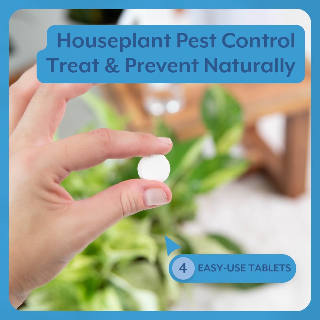 Peppermint spray bottle applying solution to indoor plants