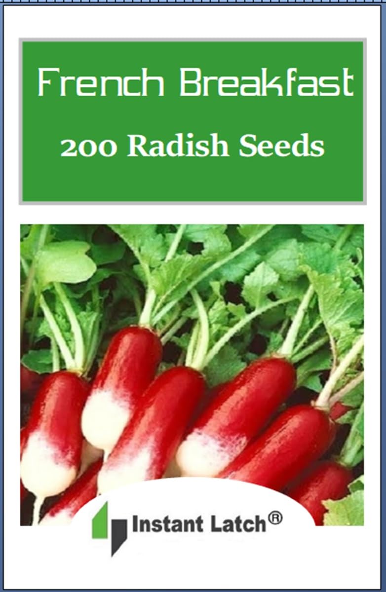 Instant Latch 200 French Breakfast radish seeds ready for direct sowing for a quick harvest.