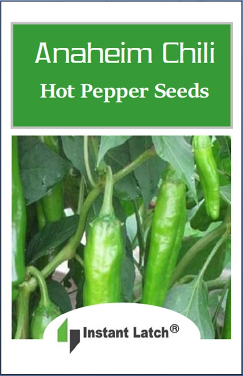 Instant Latch Anaheim chili peppers on plant ready to harvest for bold home cooking.