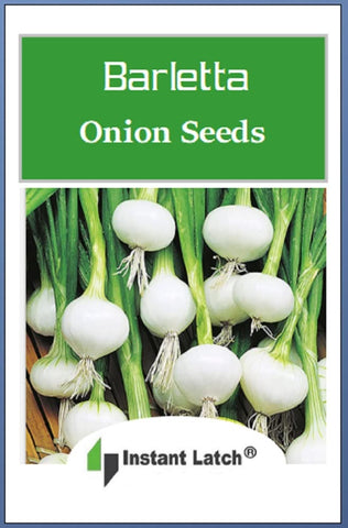 Instant Latch Barletta onion seeds garden setup showing full sun planting and cool-season readiness