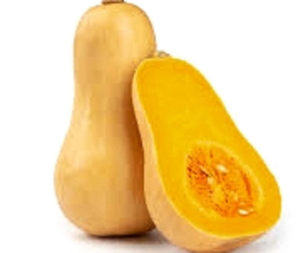 Instant Latch 30 butternut squash seeds pack ready for direct sow in a warm-season garden.