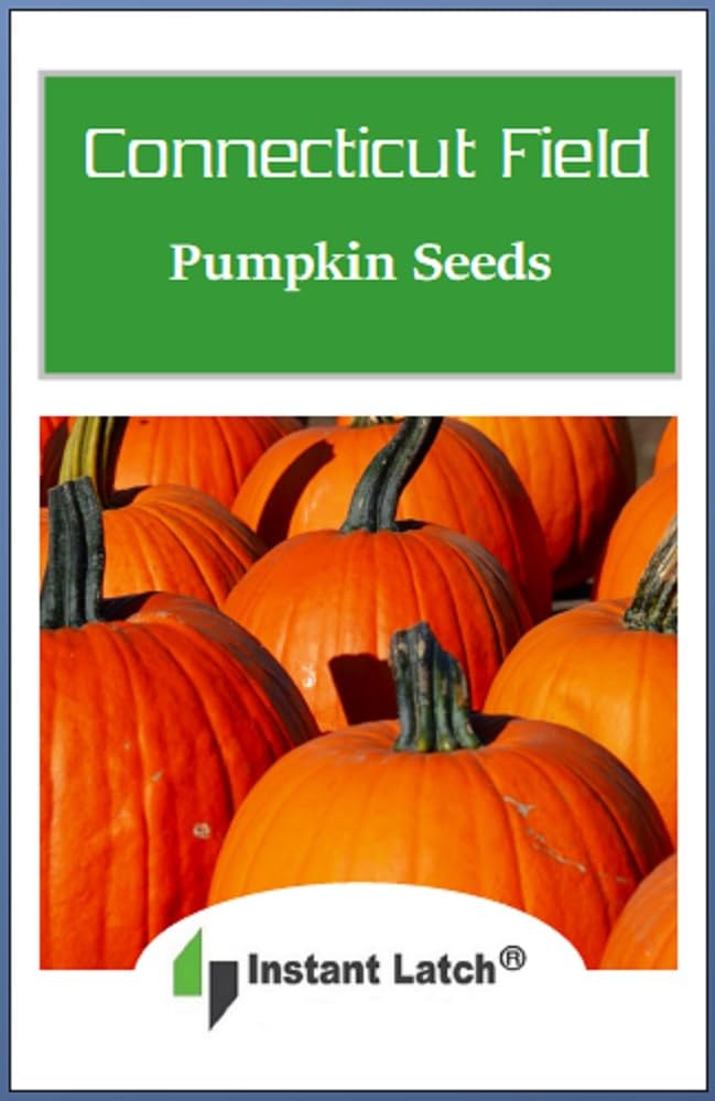 Instant Latch Connecticut Field pumpkin seeds planted in garden soil promise a diverse heirloom harvest.