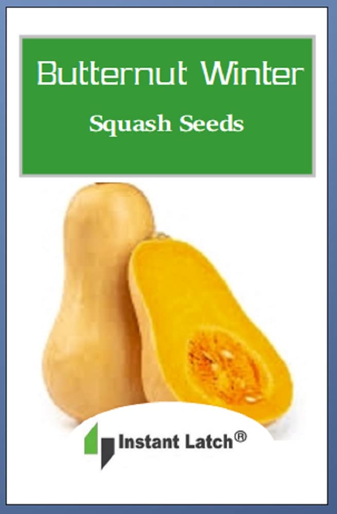 Instant Latch heirloom butternut squash seeds shown for a sunny bed and homegrown harvest.