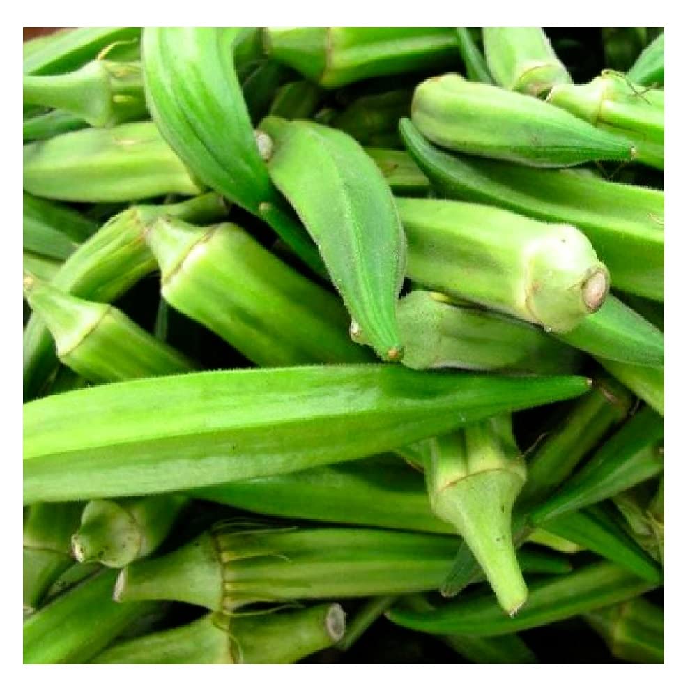 Instant Latch Emerald Okra seeds pack for a thriving warm-season home garden