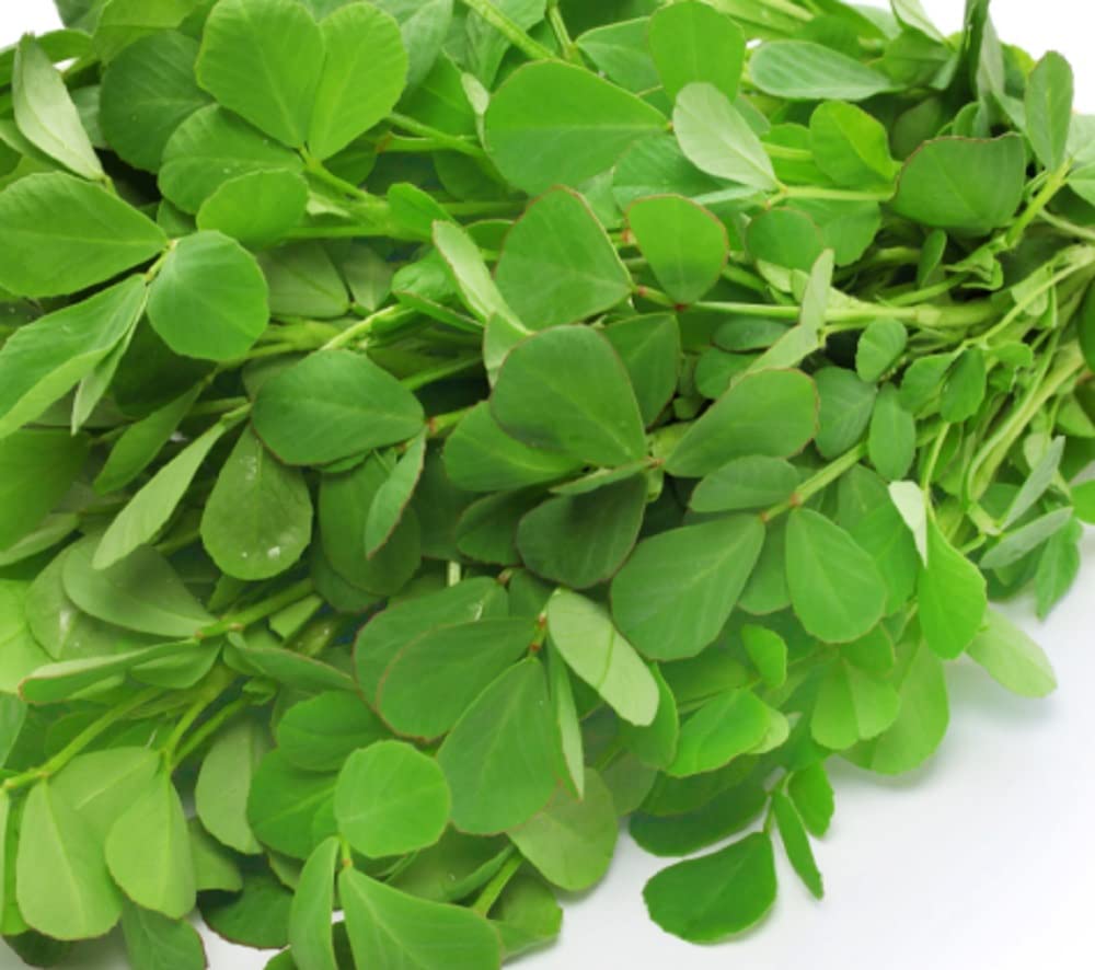 Instant Latch fenugreek seeds packaging, ideal for starting a home herb garden.
