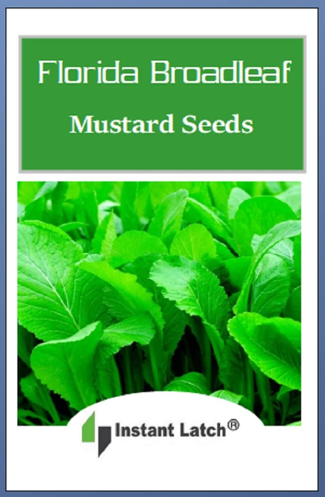 Instant Latch Florida Broadleaf Mustard seedlings emerging in soil after sowing.