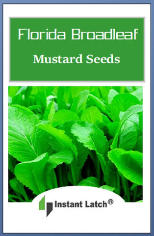 Instant Latch Florida Broadleaf Mustard seedlings emerging in soil after sowing.
