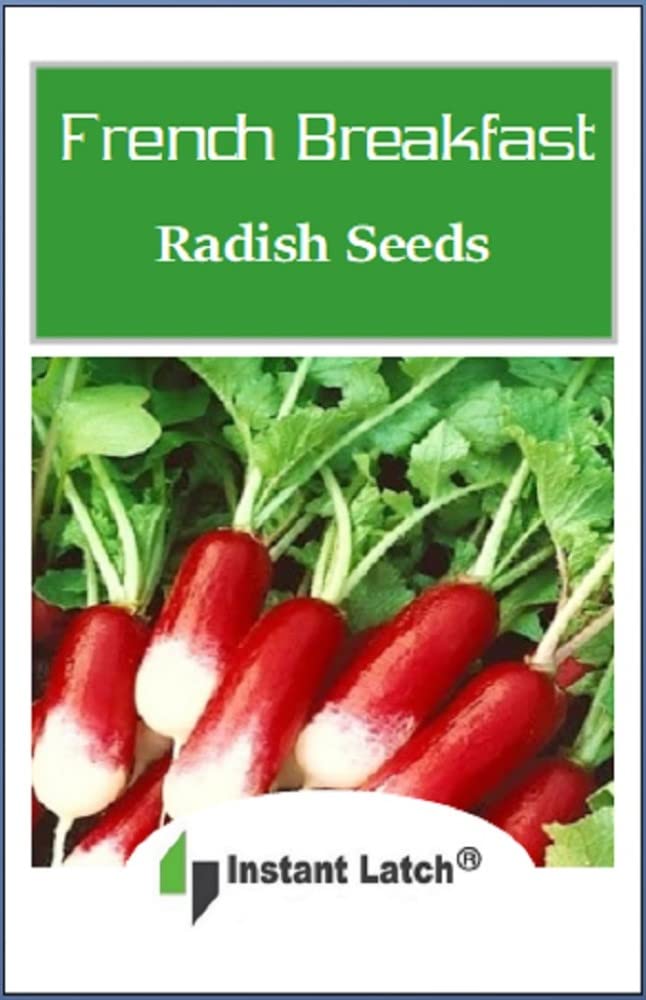 Instant Latch French Breakfast radish seeds ideal for direct sow in full sun beds.