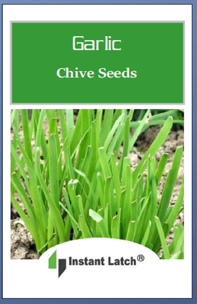 Instant Latch garlic chives seeds close-up, showing grainy texture and readiness for fresh herb harvest.
