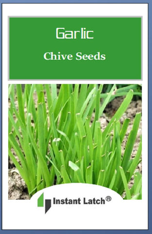 Instant Latch garlic chives seeds close-up, showing grainy texture and readiness for fresh herb harvest.