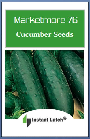 Instant Latch Marketmore 76 cucumber seeds ready for direct sow planting in warm soil