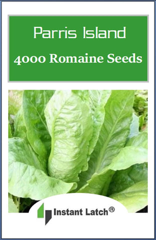 Instant Latch Parris Island Romaine leaves close-up showing crisp green heads