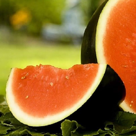 Instant Latch Sugar Baby Watermelon Seeds packet for a sweet backyard harvest.