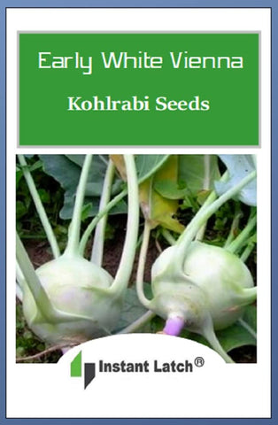 Instant Latch White Vienna Kohlrabi seedling demonstrates quick growth for home gardens.