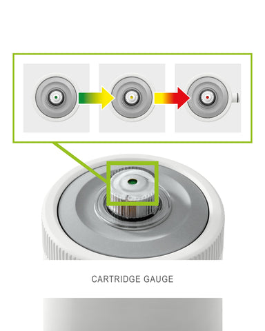 Intex C2500 Krystal Clear cartridge change demonstrates easy maintenance