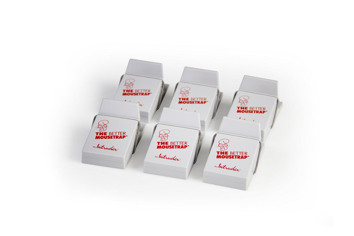 INTRUDER The Better Mousetrap 6-pack box, showing quick setup and reusable, mess-free use.