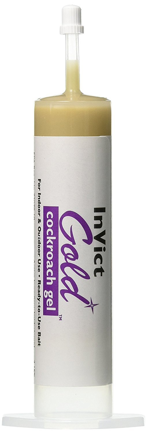 Invict Gold Roach Gel bait dots applied on surface for fast action