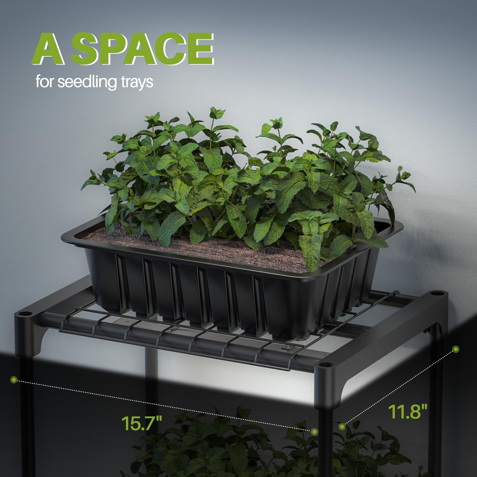 Inzlume seed start compatibility demonstrating seedling growth under LED light