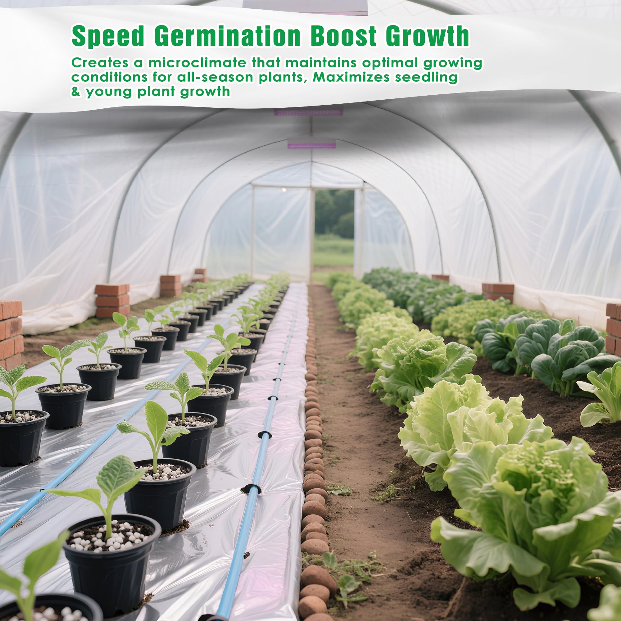 IPOW microclimate boost for seedlings under cover accelerates growth