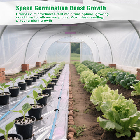 IPOW microclimate boost for seedlings under cover accelerates growth