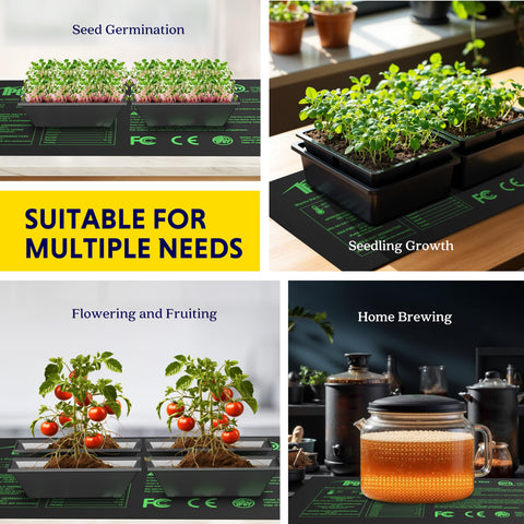 iPower compact setup suitable for small indoor seedling spaces