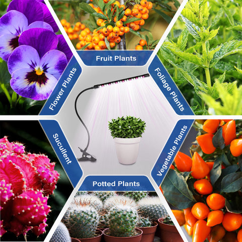 IPower LED Grow Light clamp mount demonstrates easy installation