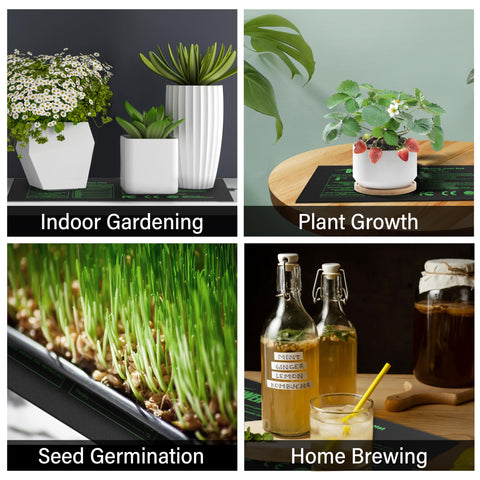 Indoor gardening setup with iPower mat supporting hydroponics and seedlings