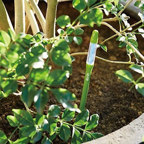Green color indicator shows when to water, aiding plant care with the Sustee Aquameter.