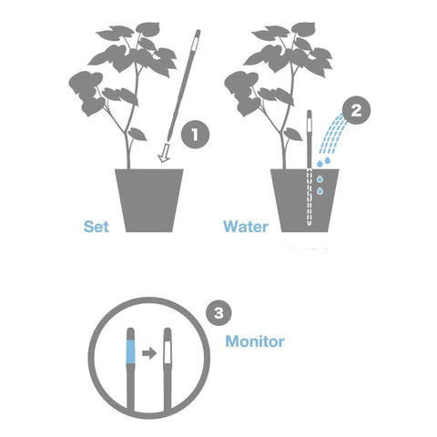 Durable polycarbonate body designed for long-term use in indoor planters.