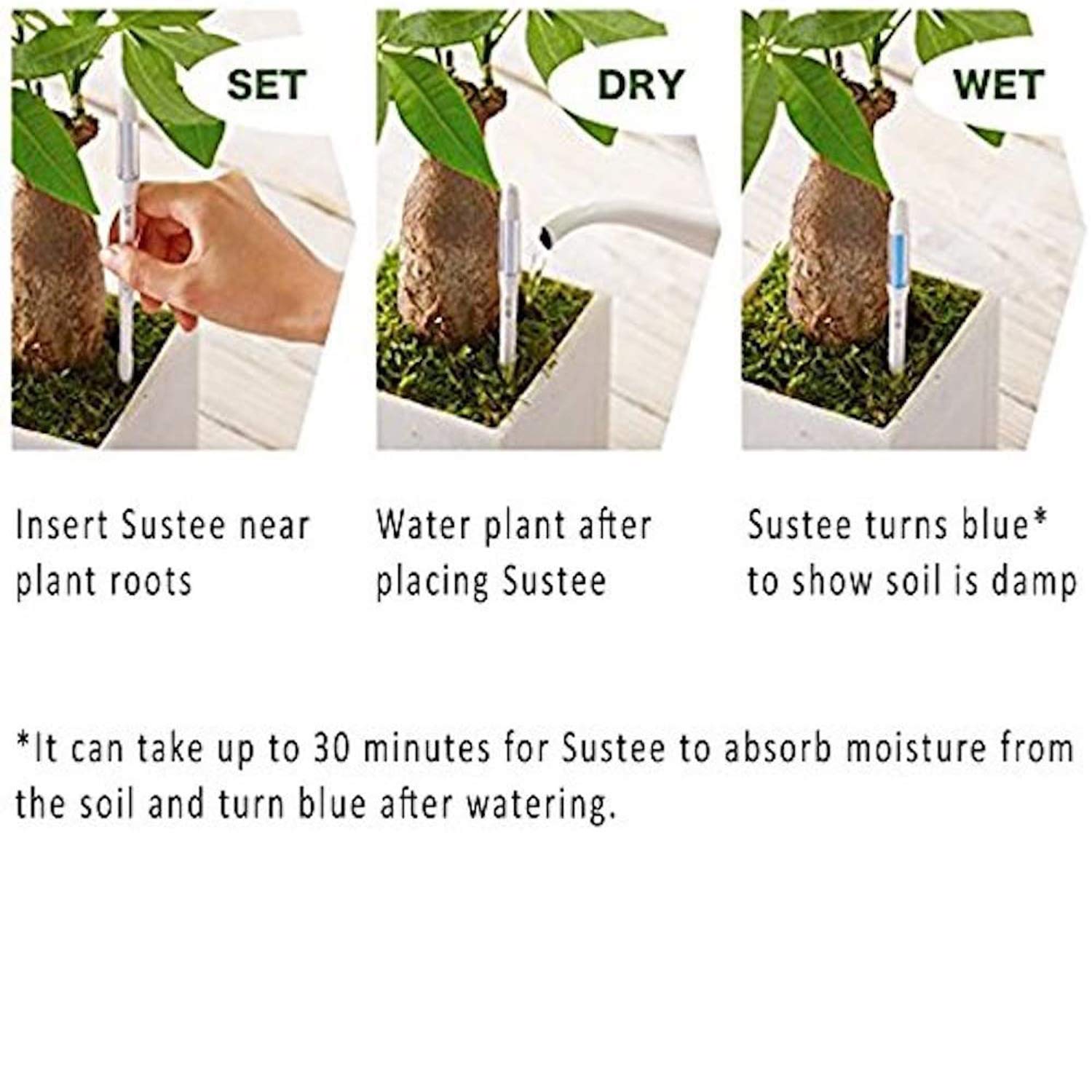 IPPINKA Sustee Aquameter four-pack refillable cores extend watering intervals without guesswork.