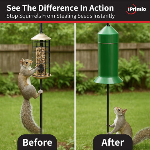 iPrimio Protects hanging feeders by shielding pole climbs from animals.