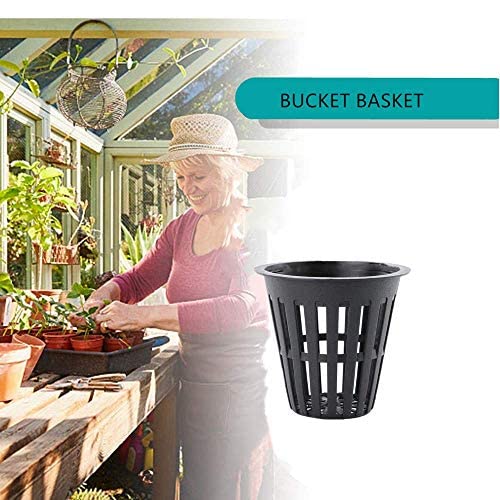 IPXEAD 50-pack garden net cups for scalable hydroponic setups.