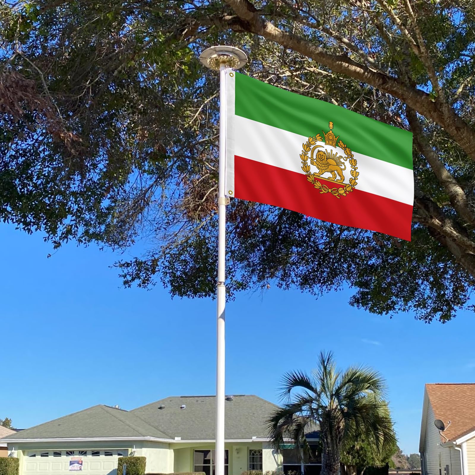 Iran flag indoor wall decor option for rooms