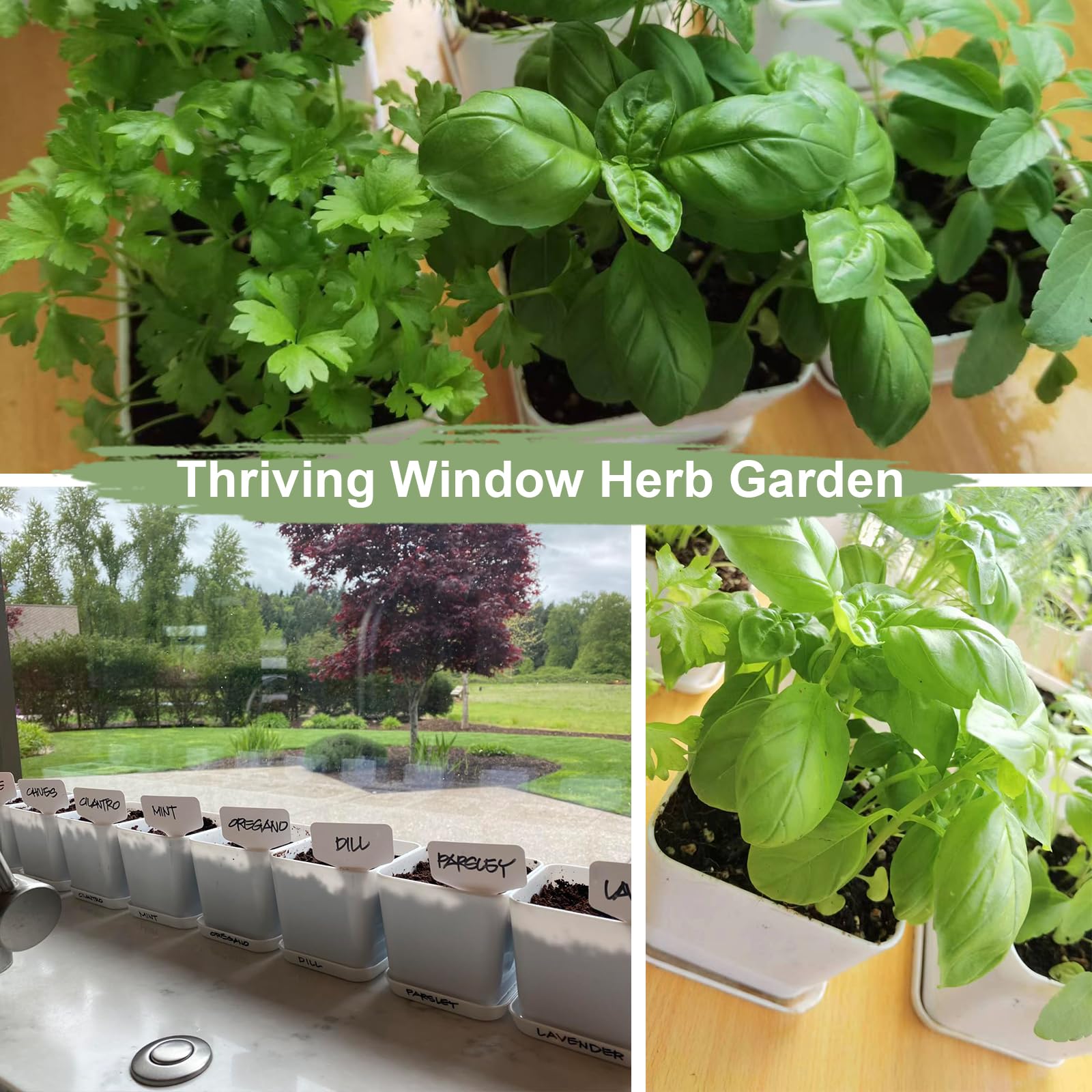 Irealgarden gift box packaging ready for gifting an herb starter