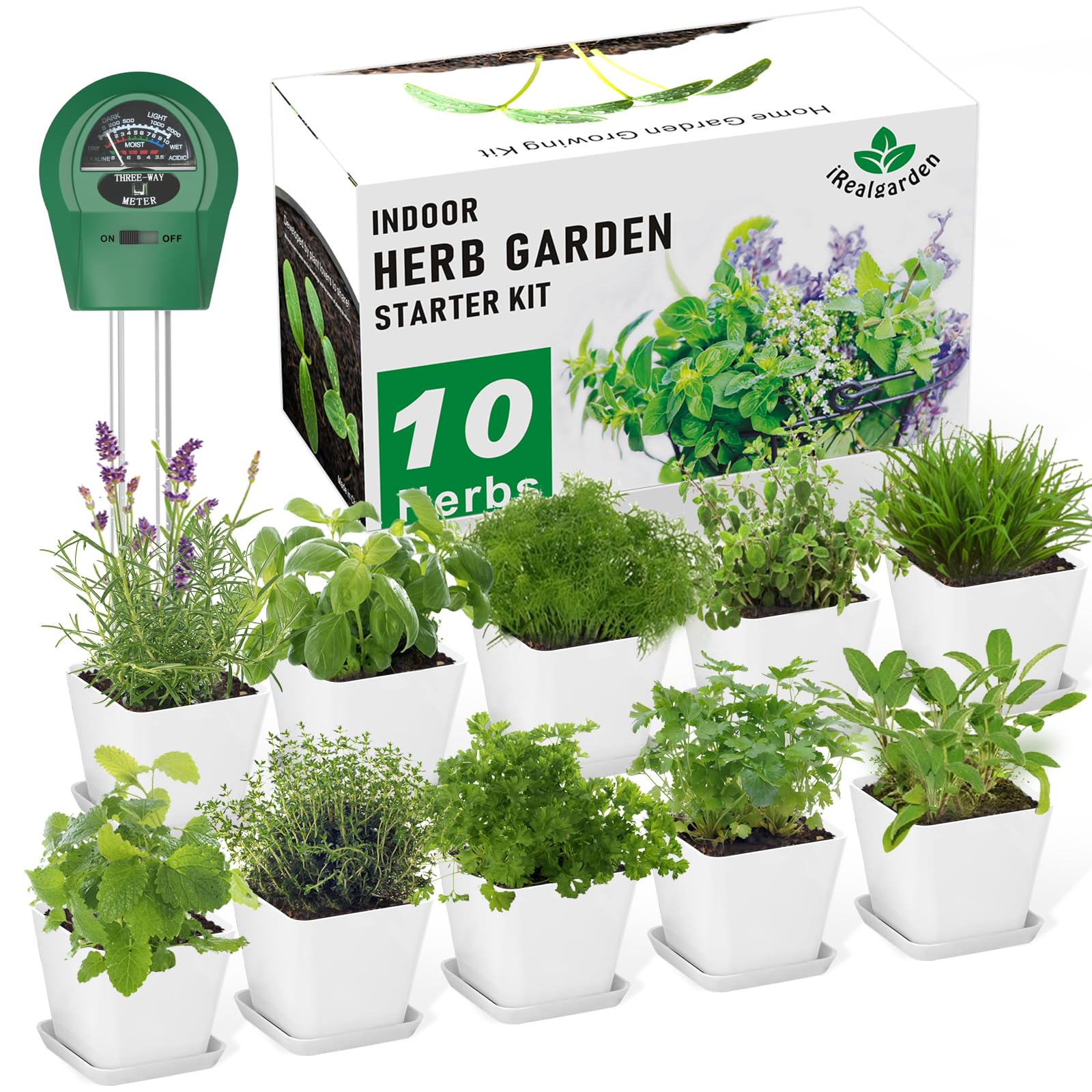 Irealgarden indoor herb garden kit for year-round fresh herbs on the windowsill