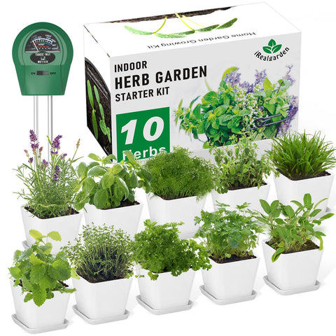 Irealgarden indoor herb garden kit for year-round fresh herbs on the windowsill