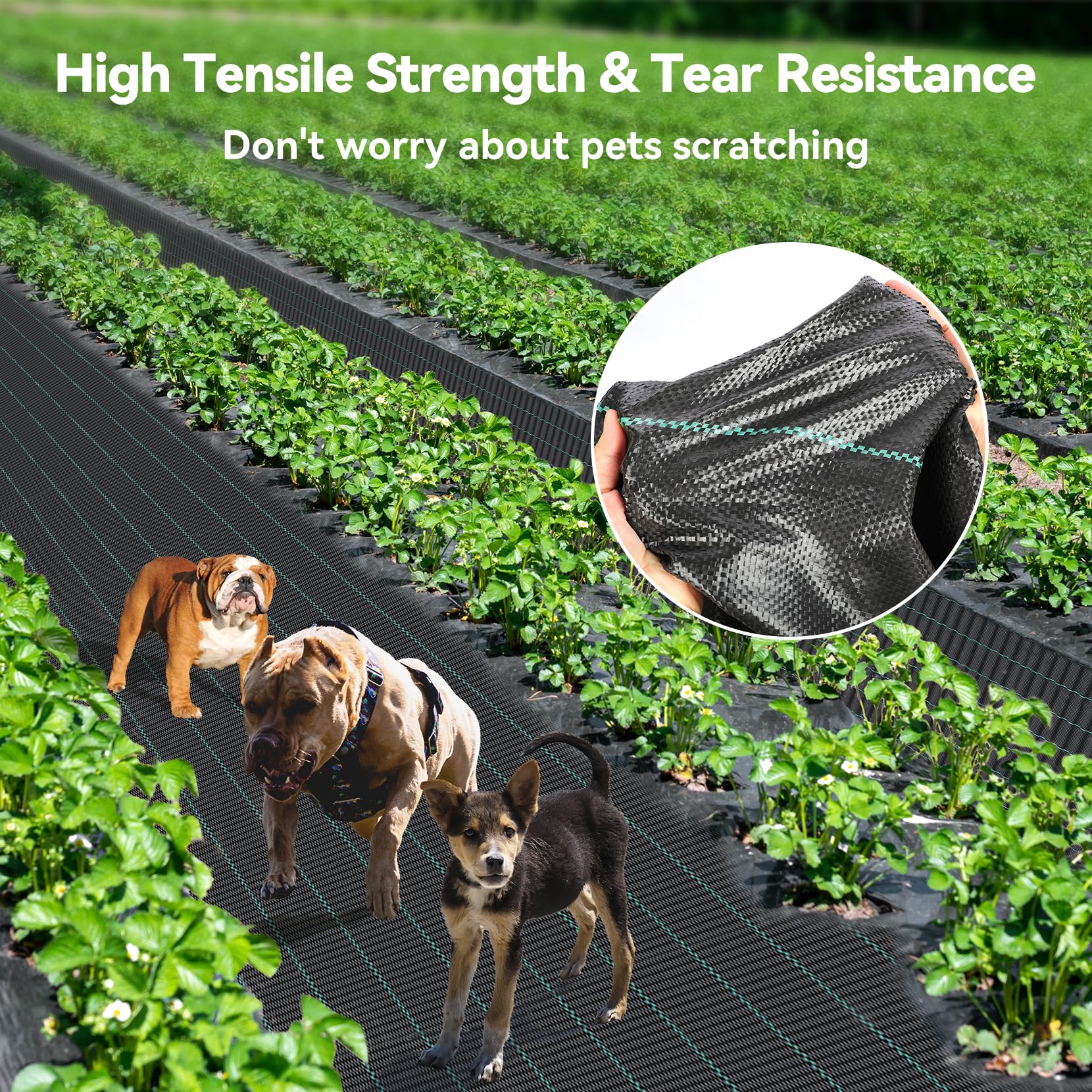 iropro plant-friendly barrier for raised beds and gravel paths