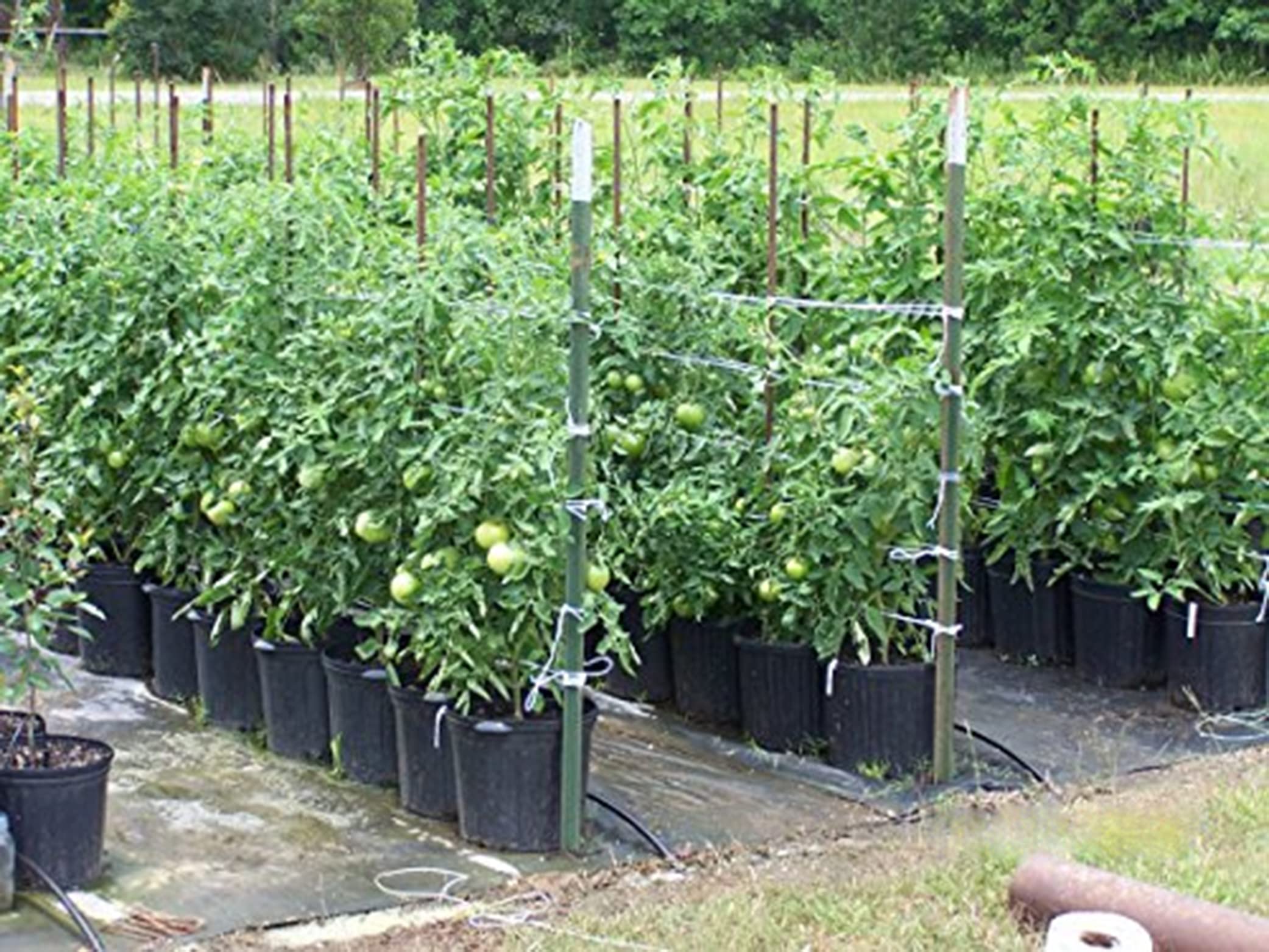 IRRIGATION-MART 3lb box notes 2,300 ft per pound.