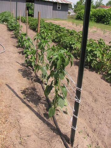 IRRIGATION-MART feed-from-top box enables quick loading in the garden.