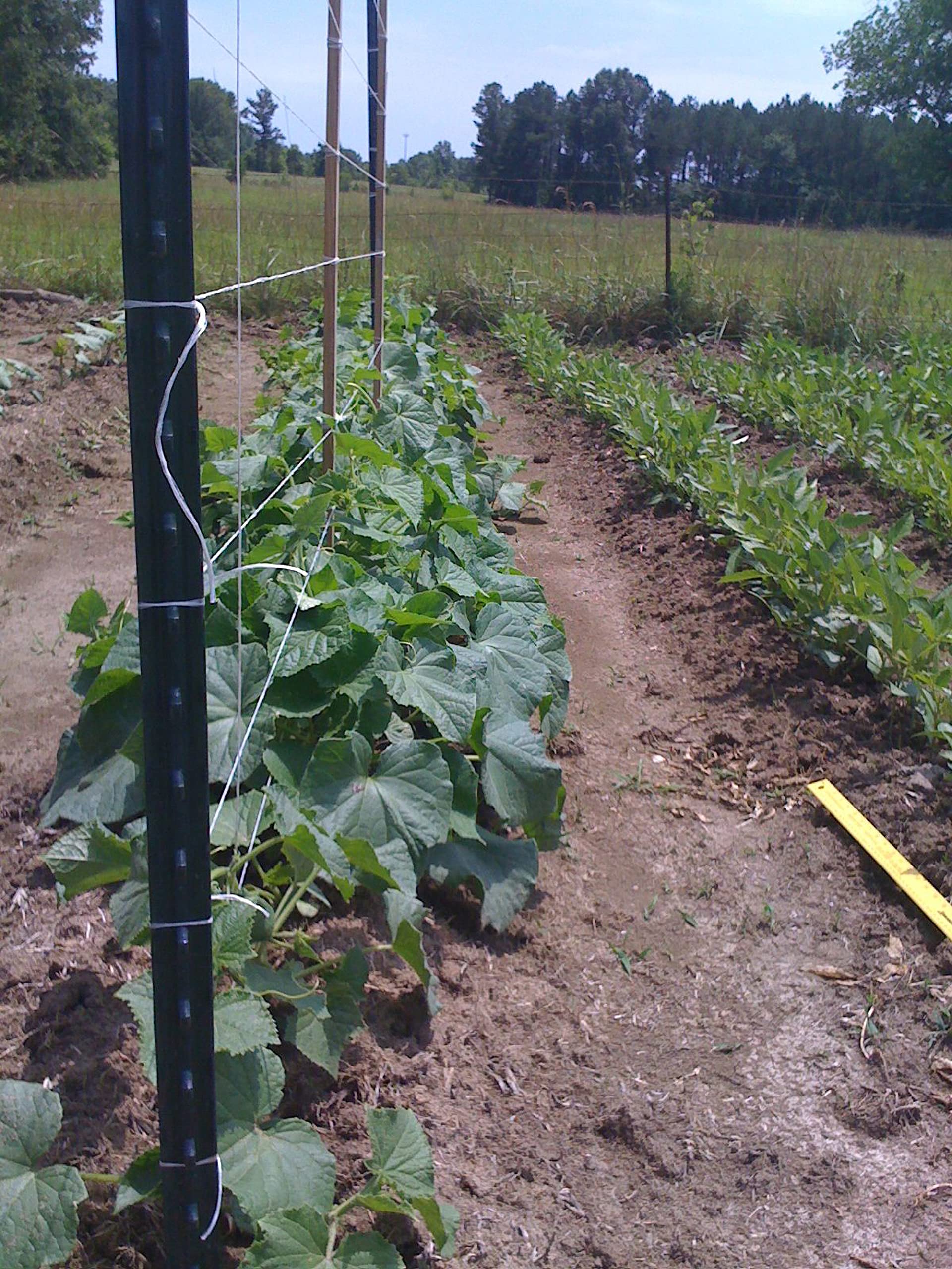 IRRIGATION-MART UV-resistant twine designed for outdoor use.