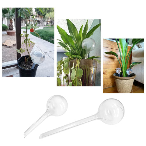 Gift-ready Irrmshr watering bulbs display for plant lovers.