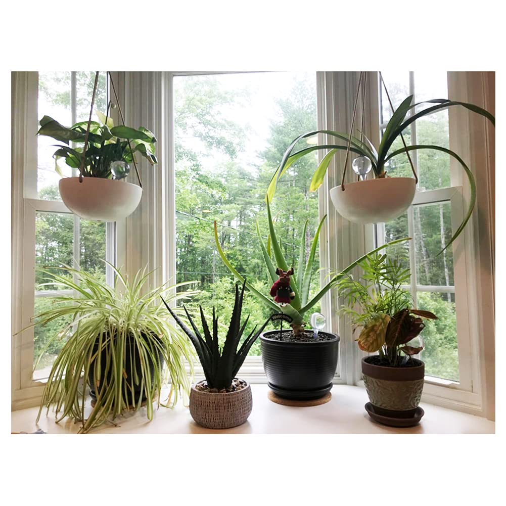 Large Irrmshr bulb measuring 26.5 cm for bigger pots.