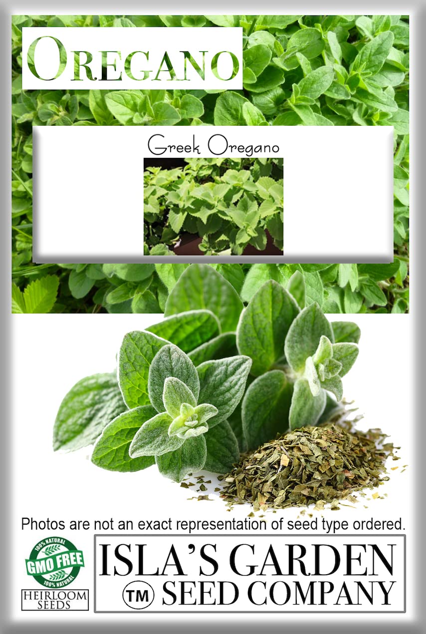 Isla's Garden cooking with oregano leaves for soups and sauces