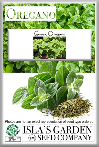 Isla's Garden cooking with oregano leaves for soups and sauces