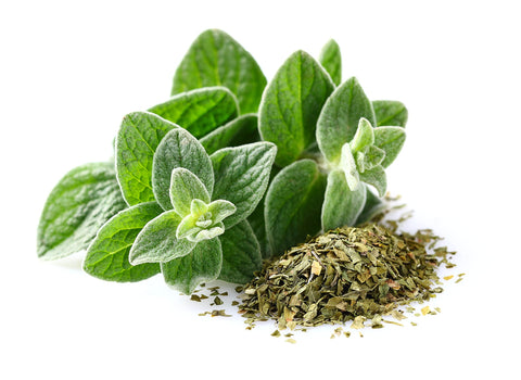 Isla's Garden Greek oregano seeds close-up showing tiny tan grains for germination