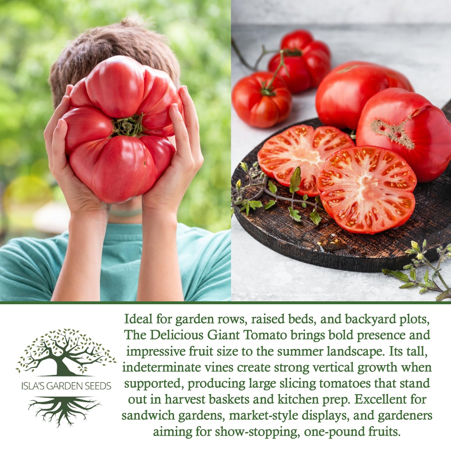 Isla's Garden Seeds 1-pound tomato harvest ready for fresh slicing