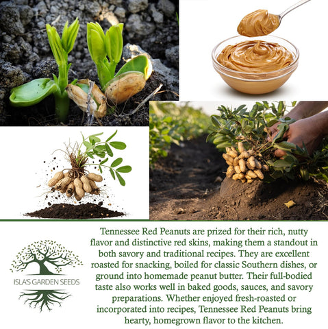 Isla's Garden Seeds back-of-packet planting guidance for easy start