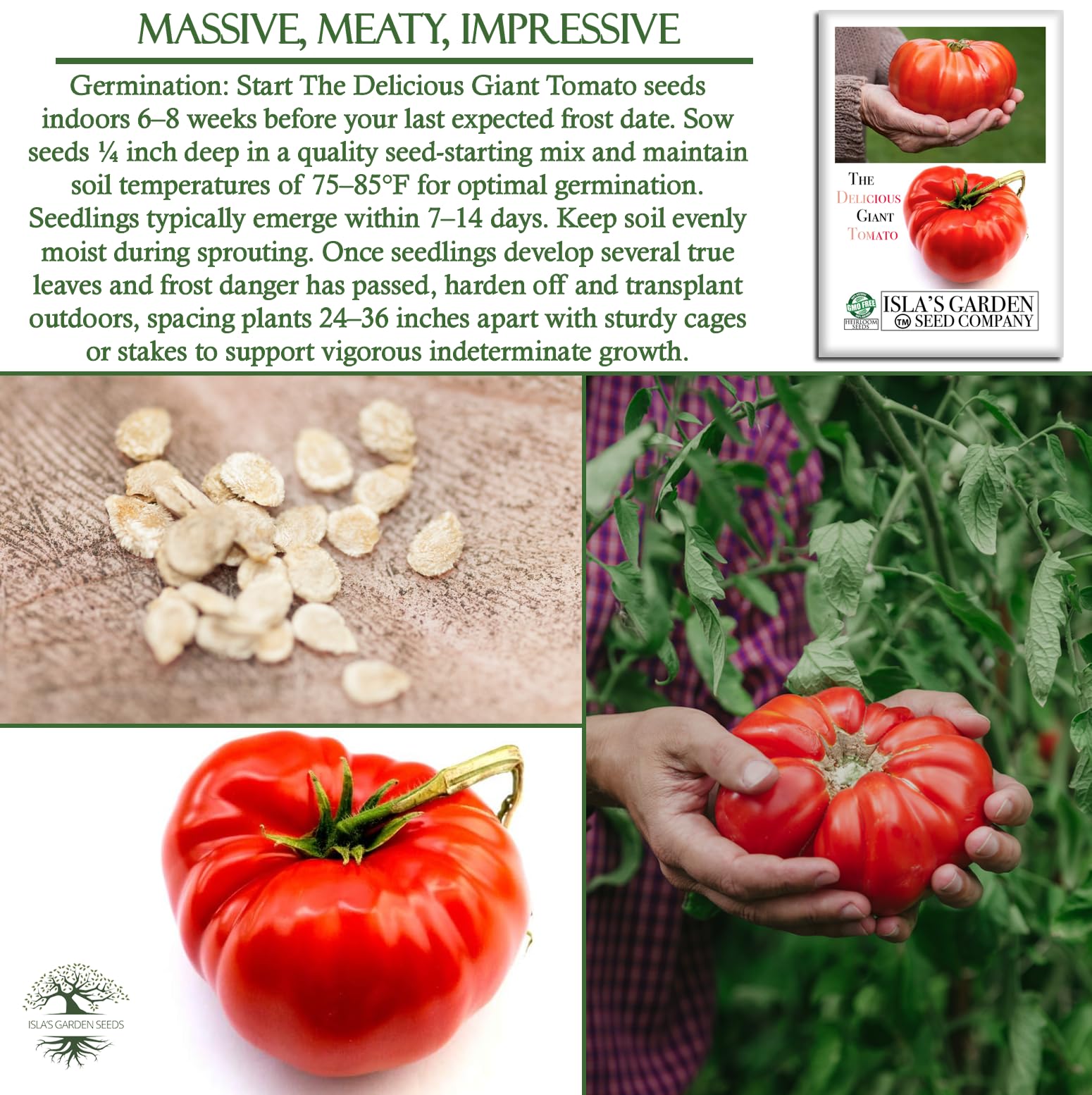 Isla's Garden Seeds Beefsteak tomato sliced for sandwiches