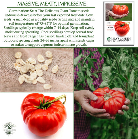 Isla's Garden Seeds Beefsteak tomato sliced for sandwiches