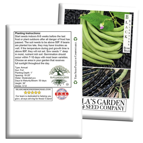 Isla's Garden Seeds Black Valentine harvest-ready pods for meals